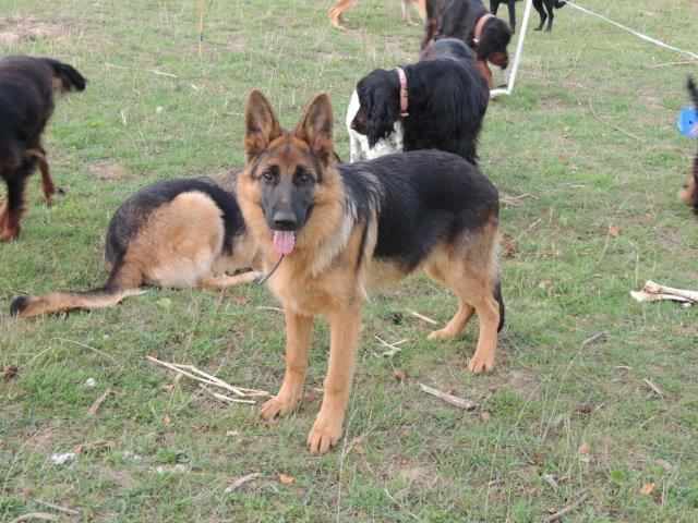Lennox du val d anzin